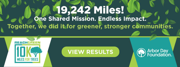 RG_new copy_home page