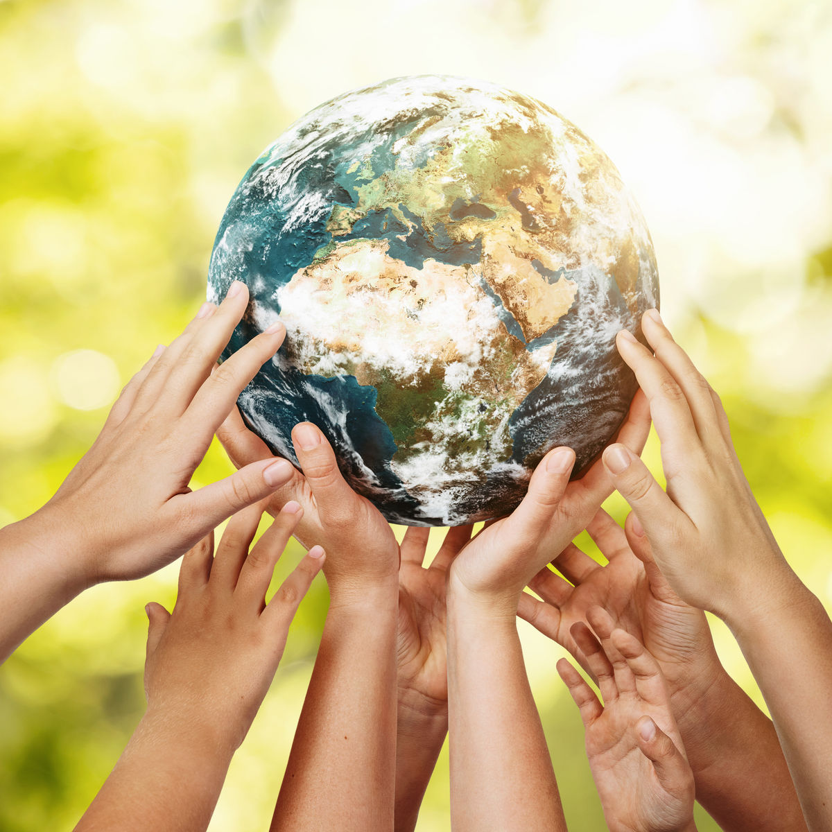 reach-green-expands-leadership-mobile