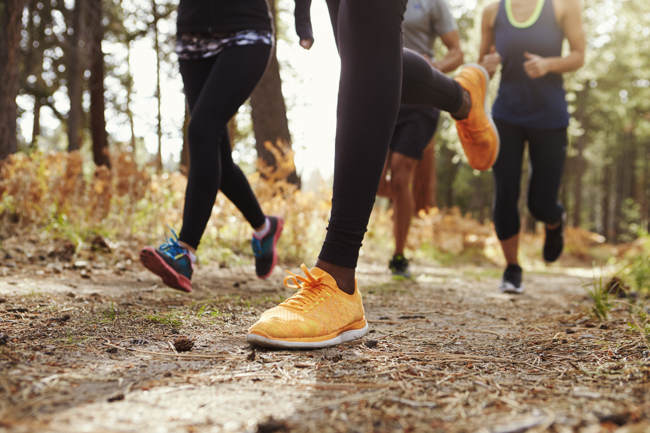 Young adults running in a forest trail