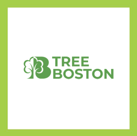 Tree Bostan